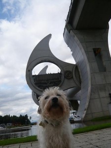 Pickles and Falkirk Wheel