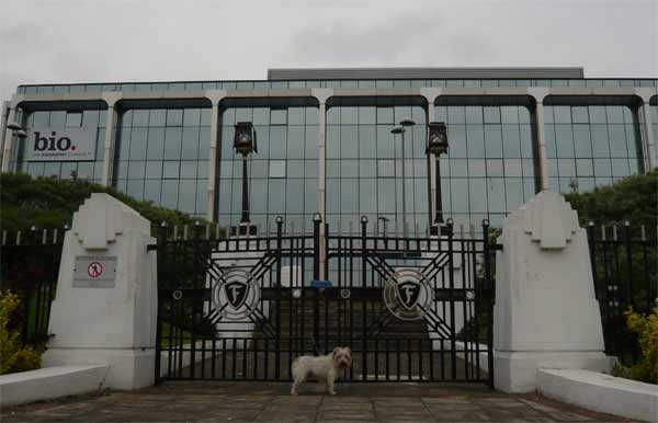 Firestone gates, Great West Road