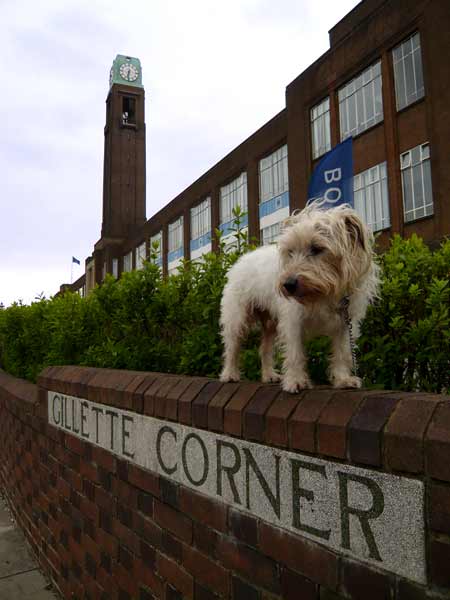 Pickles at Gillette Corner