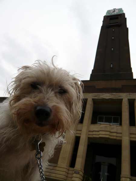 Pickles at Gillette Clock Tower