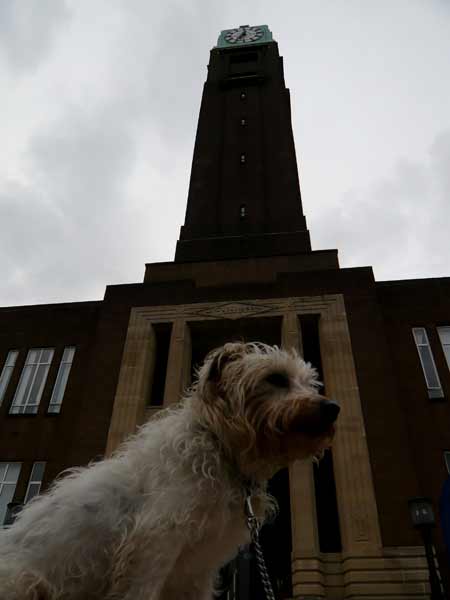 Pickles at Gillette Clock Tower