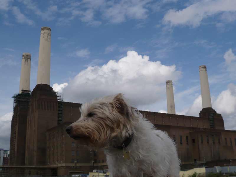 Pickles at Battersea power station