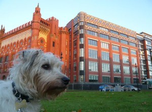 Templeton Carpet Factory