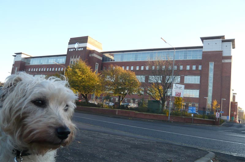 wills-factory-1