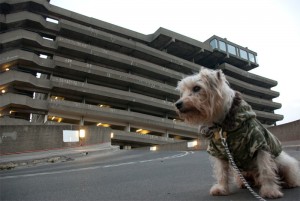 Trinity Square car park