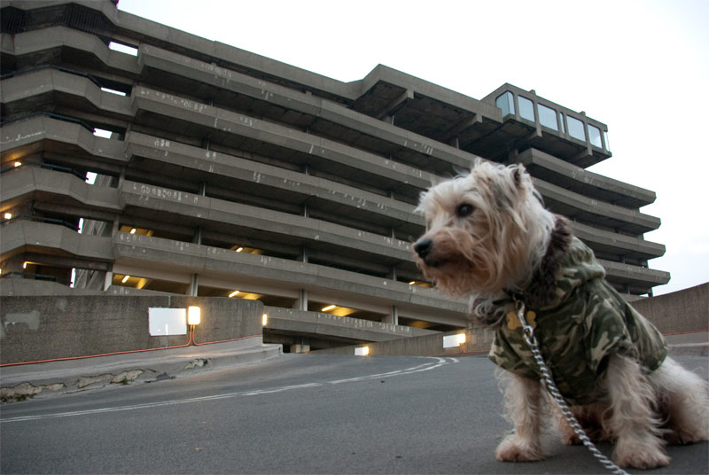 Trinity Square car park