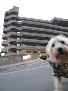 Trinity Square carpark