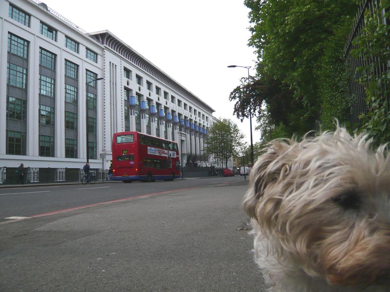 Carreras factory from Hampstead Rd