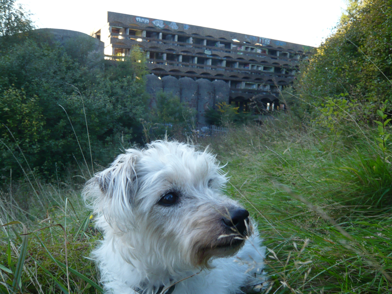 St.Peters Seminary