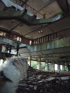 St.Peters Seminary central staircase