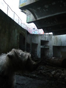 St.Peters Seminary inside