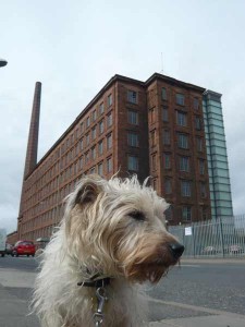 Carlisle mill and chimney